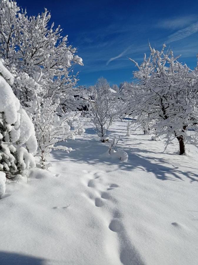 Ecottage Котедж Для Двох У Горах Із Чаном-Джакузі Slavske Dış mekan fotoğraf