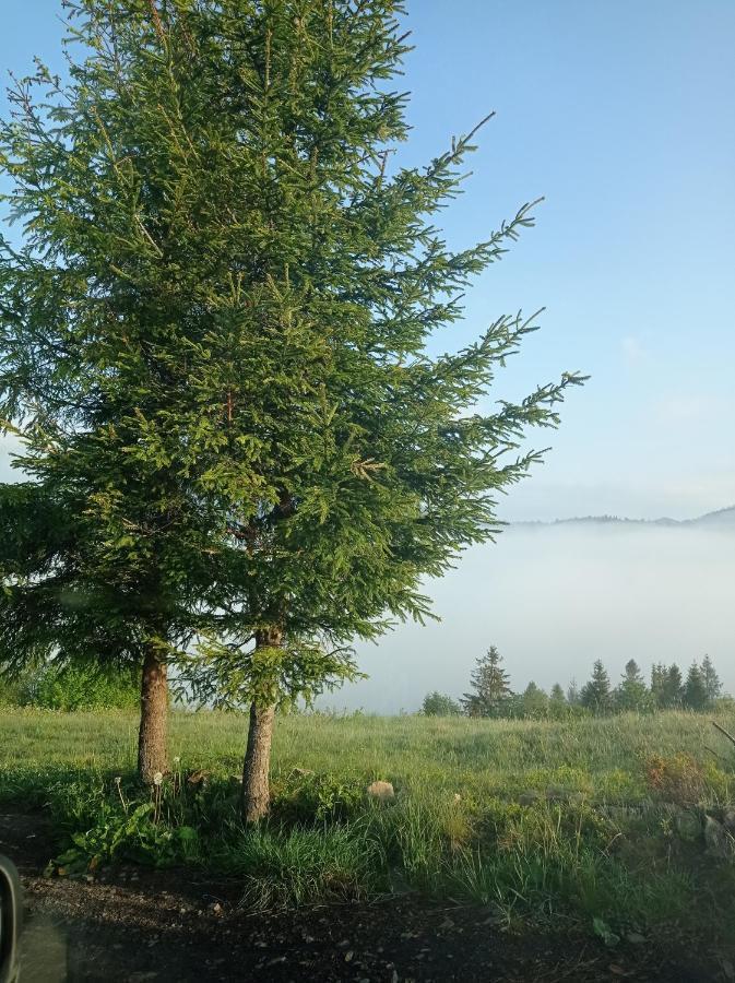 Ecottage Котедж Для Двох У Горах Із Чаном-Джакузі Slavske Dış mekan fotoğraf